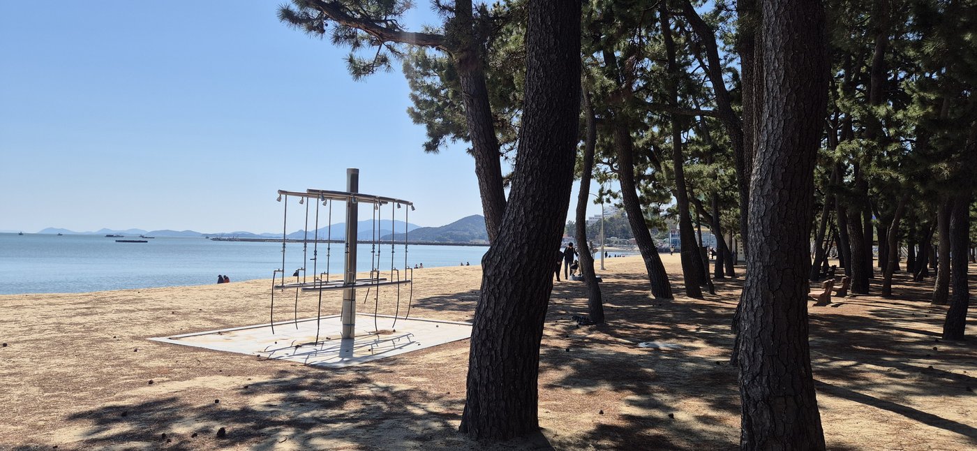 Yulpo Beach — old pine forest meets the sea