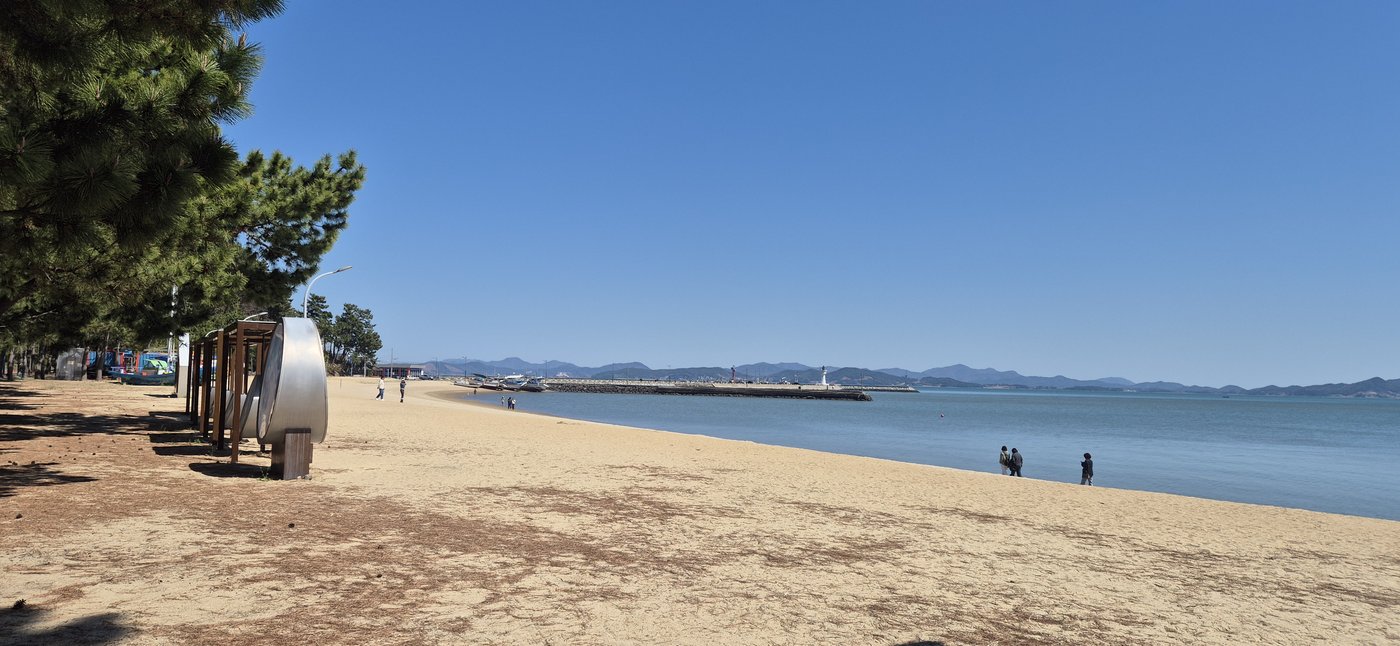 The beach and coastline from the pine grove