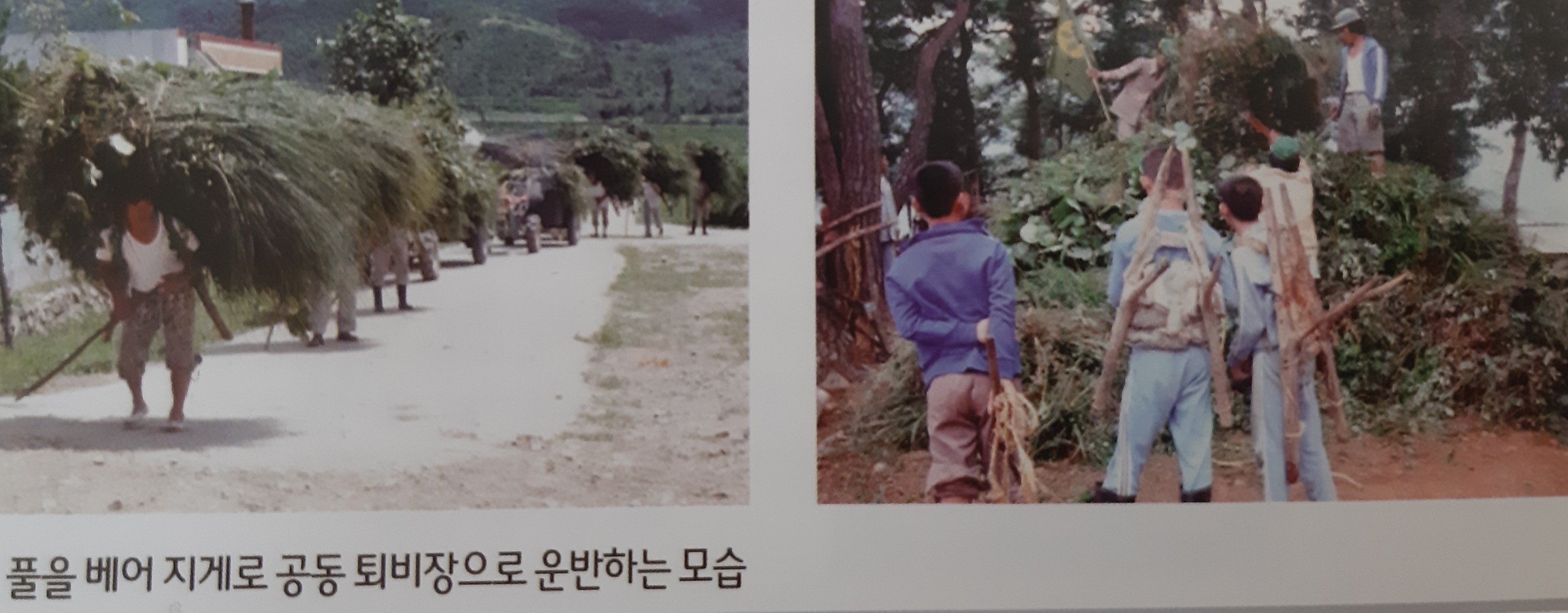노동남초등학교 동문회지 창간호 (2015)