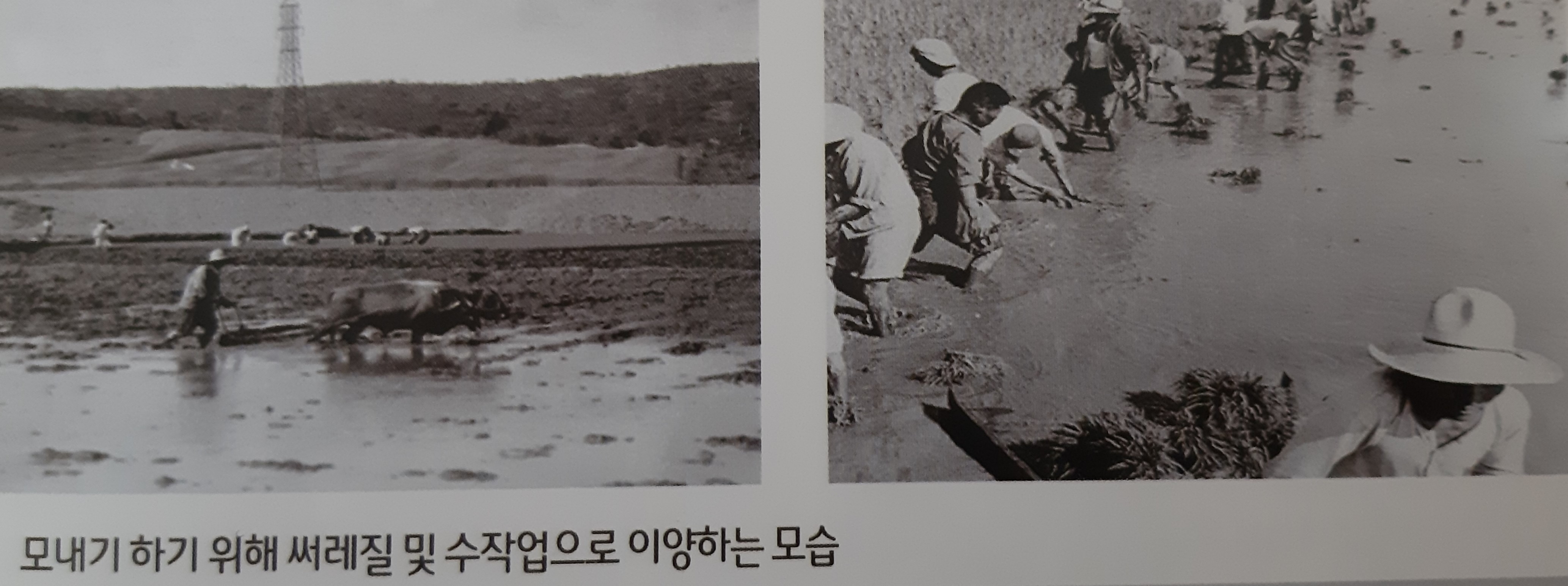 노동남초등학교 동문회지 창간호 (2015)