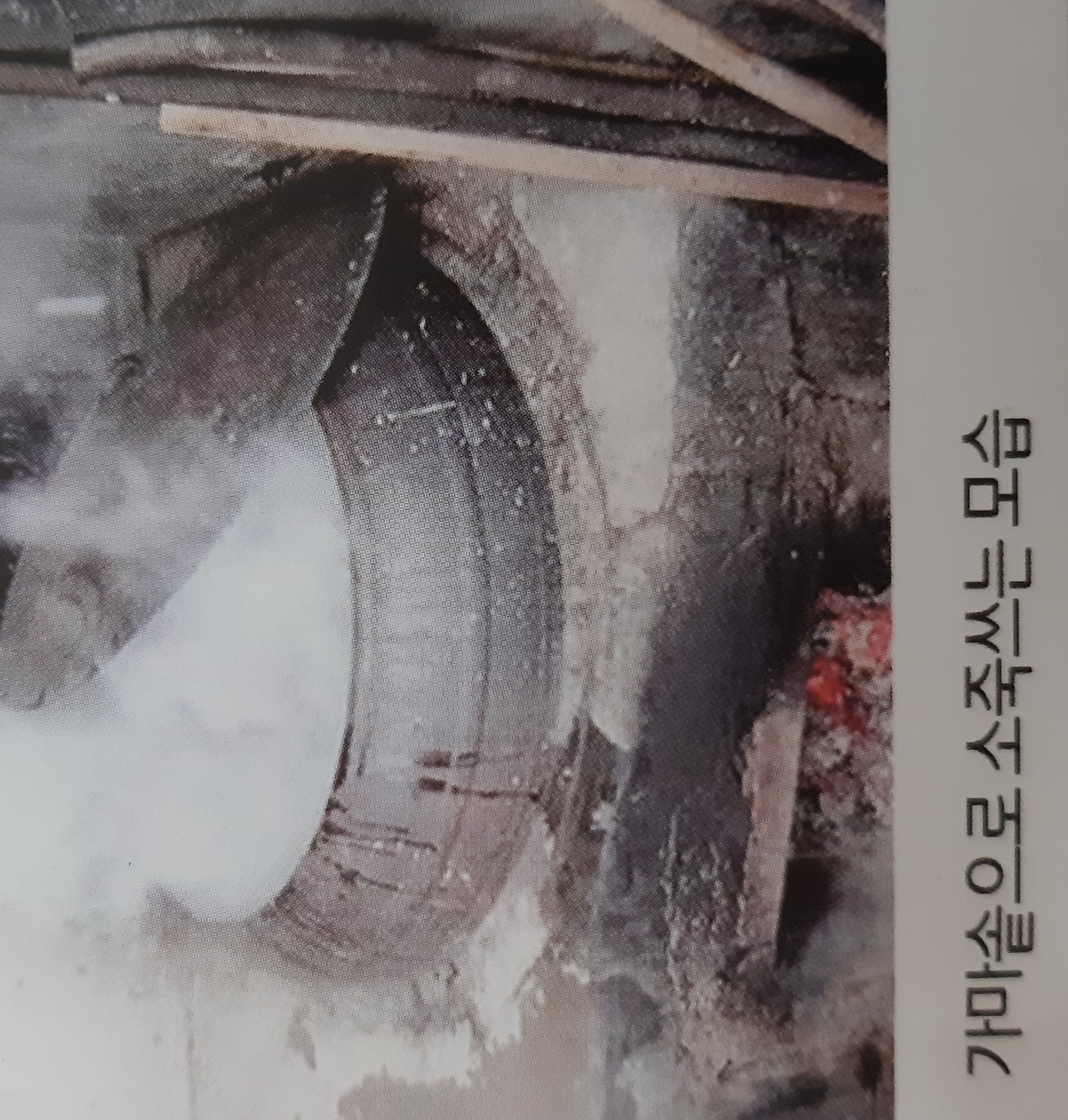 노동남초등학교 동문회지 창간호 (2015)