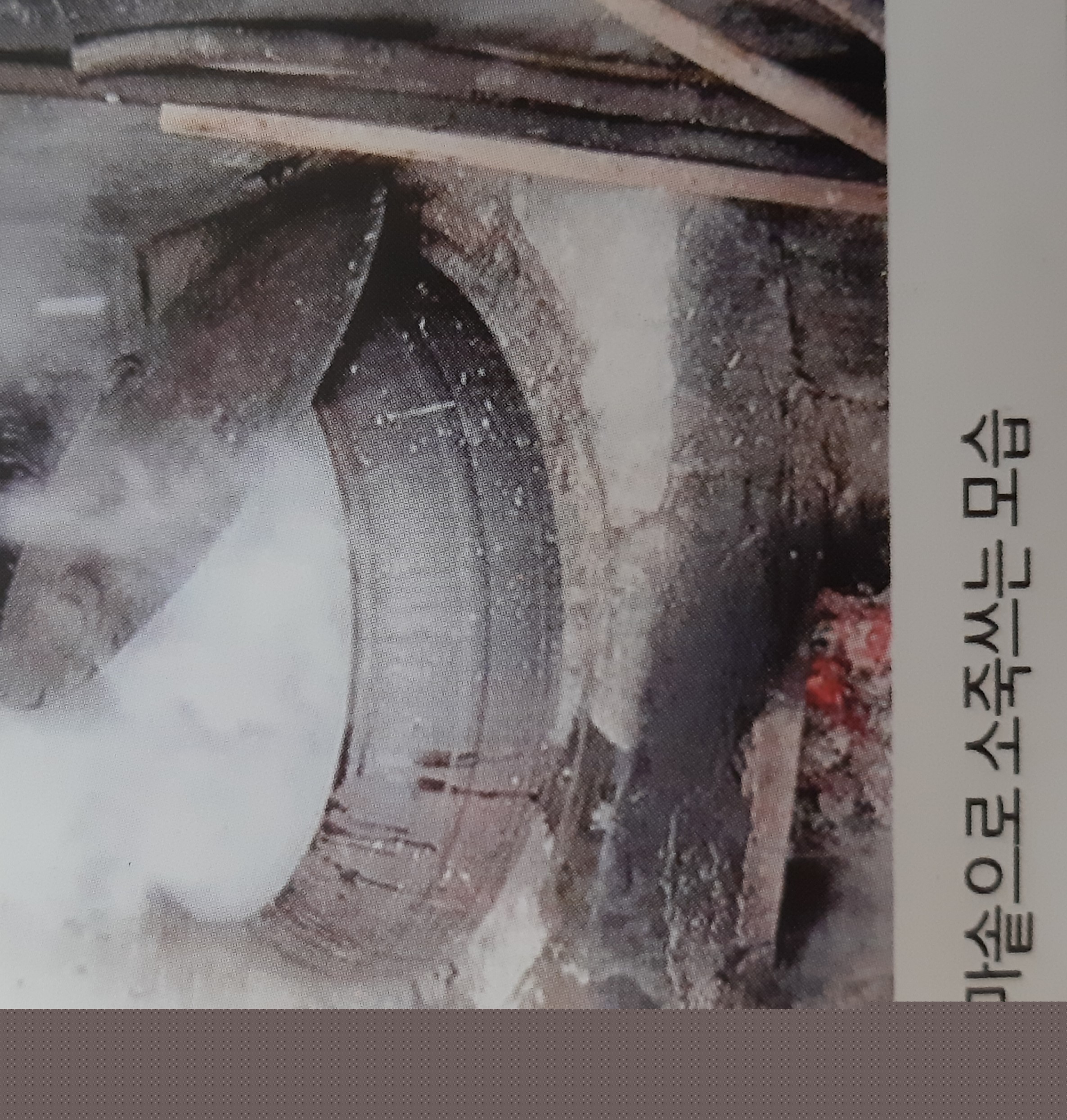 노동남초등학교 동문회지 창간호 (2015)