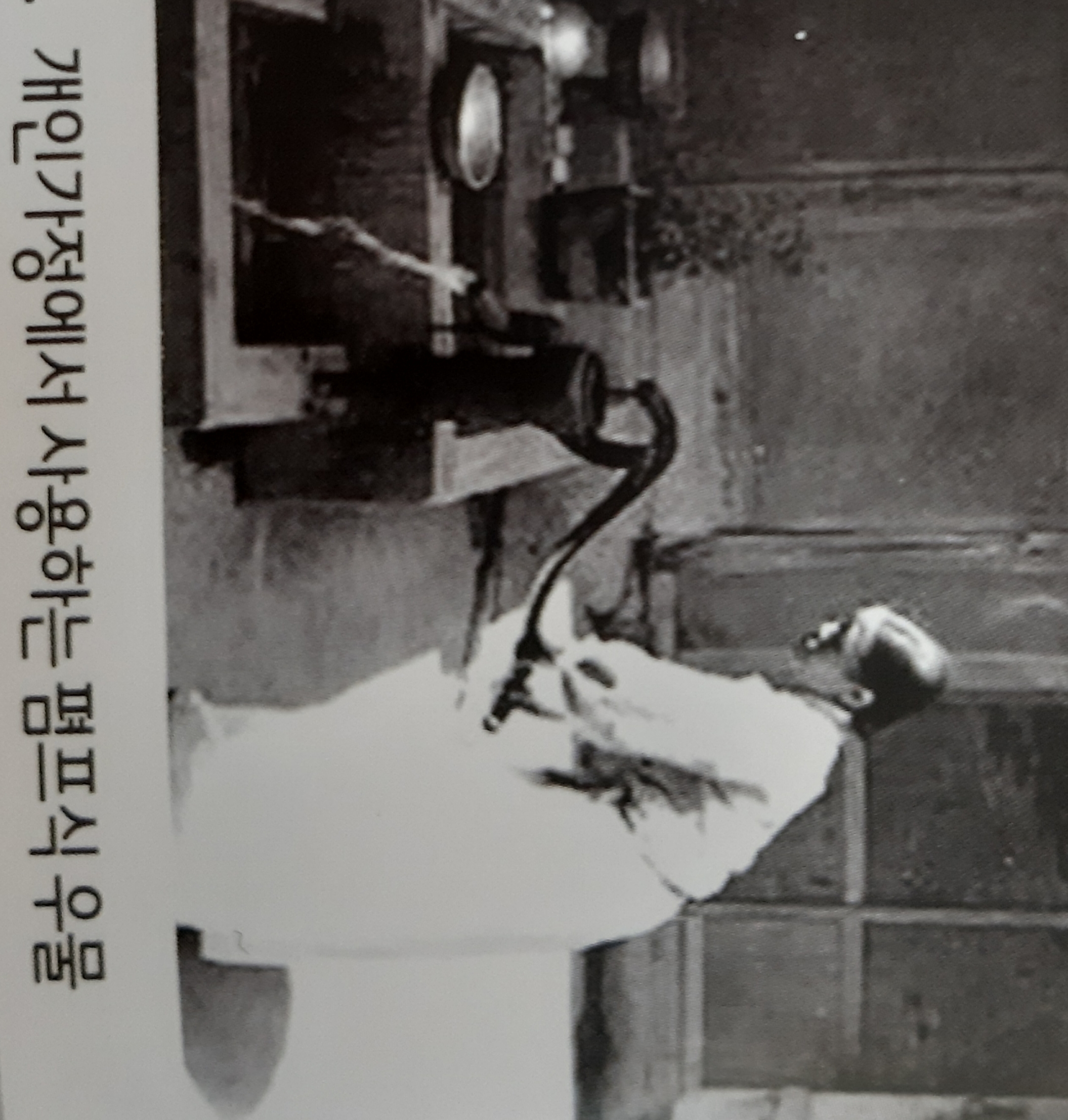 노동남초등학교 동문회지 창간호 (2015)