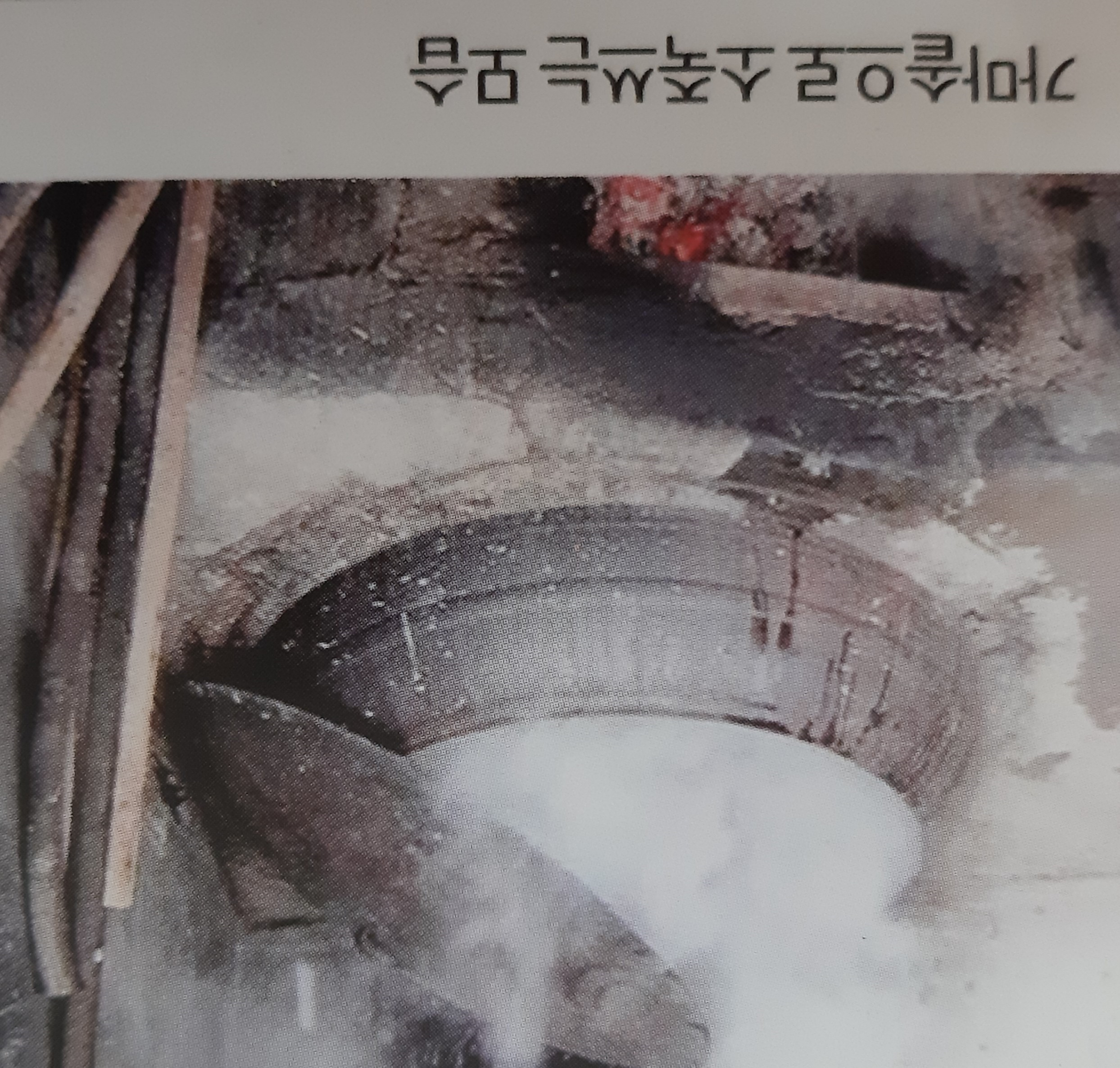 노동남초등학교 동문회지 창간호 (2015)