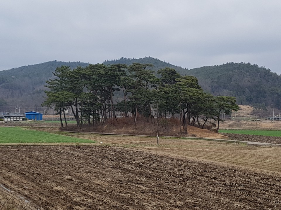 대여마을 — 600년 손씨 집성촌